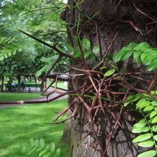 Jardin botanique de Liège