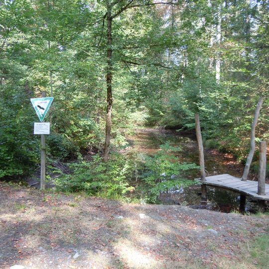 Zeppelineiche u. Feuchtbiotop Bei d.Oberen Steige