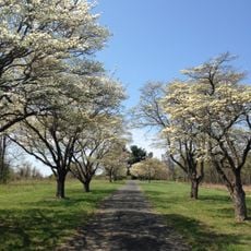 Rockburn Branch Park