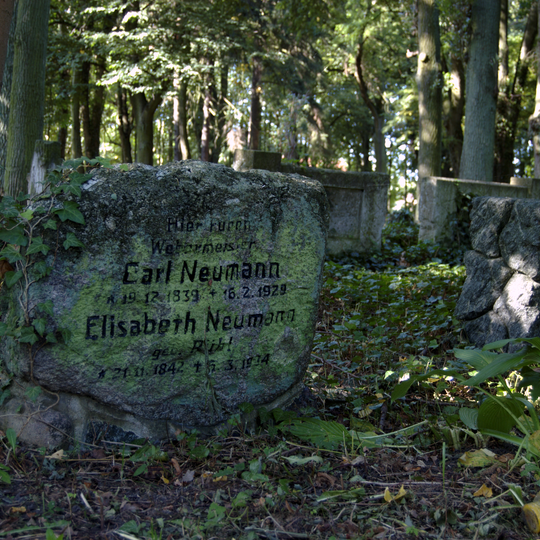 Evangelical cemetery from XIX century, Wałcz