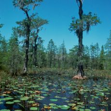 Okefenokee Wilderness