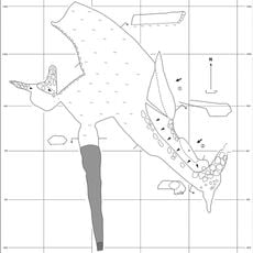 Jaskinia Półkolista