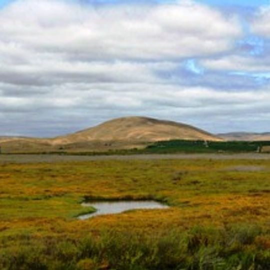 Refuge faunique national San Pablo Bay