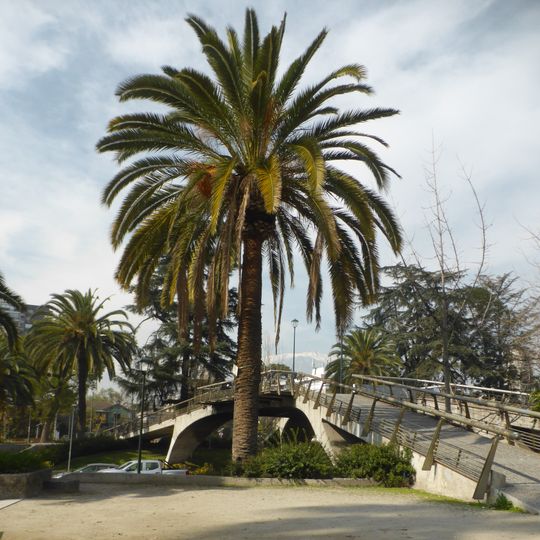 Plaza Pedro de Valdivia