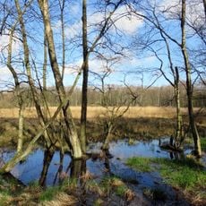 Heidkoppelmoor und Umgebung