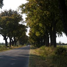 Avenue Nieborów-Łasieczniki
