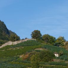 Château de Freudenberg