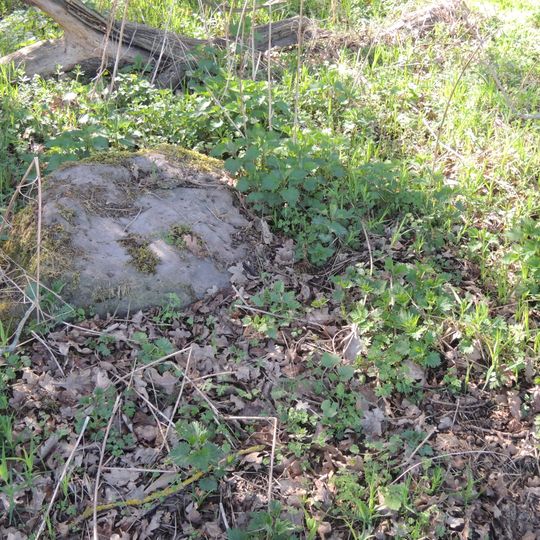 Großsteingrab Haldensleber Forst 111