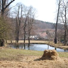 Dąbrowica palace park
