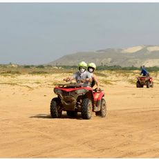 Quad Zone