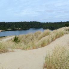 Jessie M. Honeyman Memorial State Park