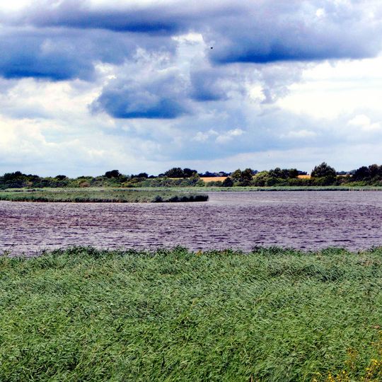 Dassower See, Inseln Buchhorst und Graswerder