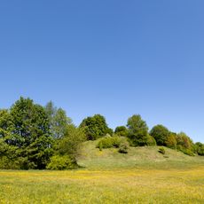 Perlacher Mugl