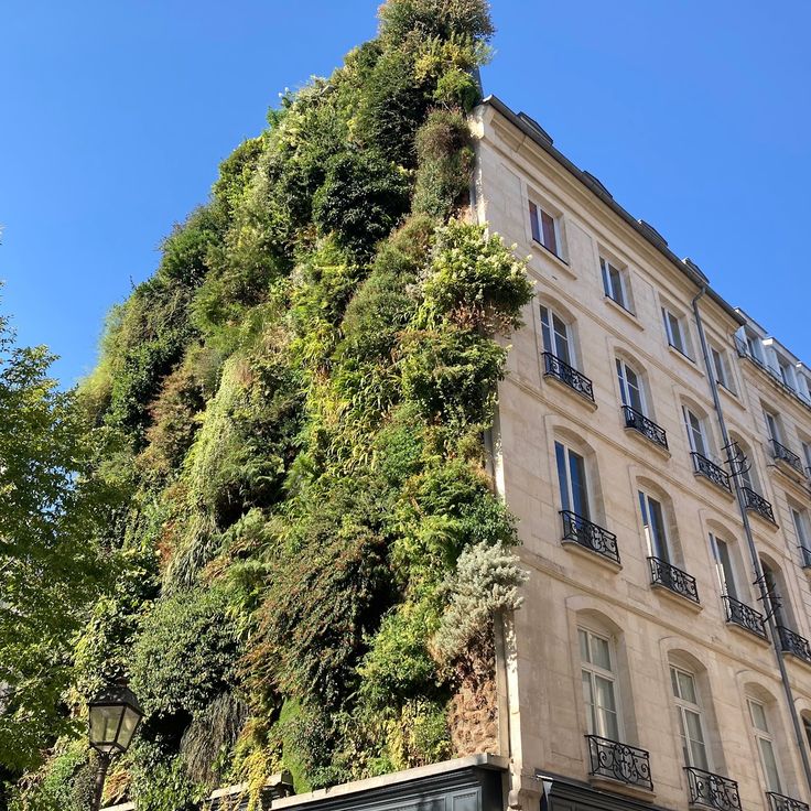 Oasis d'Aboukir