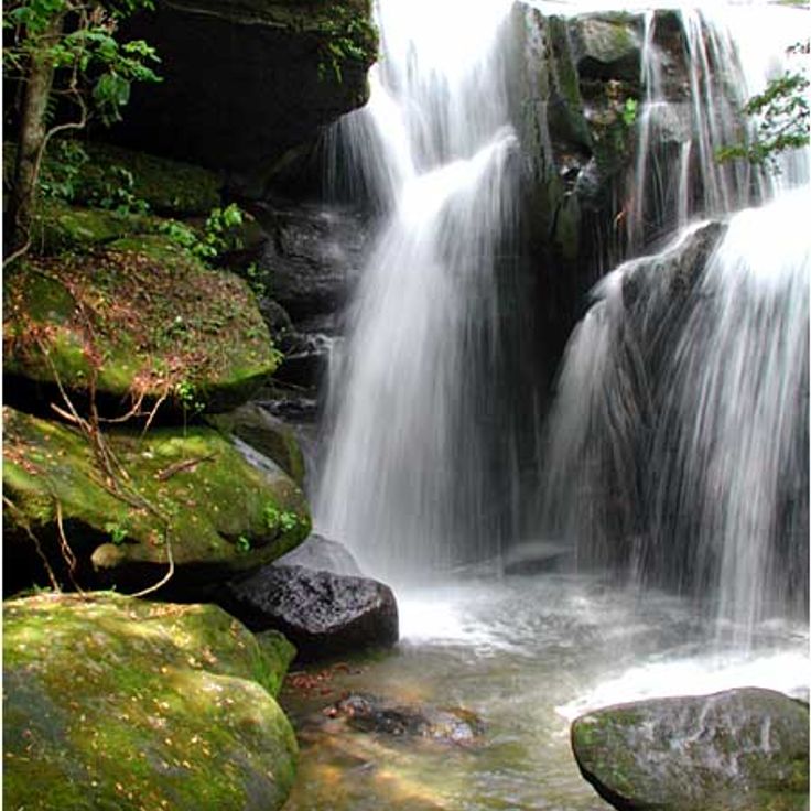 Dismals Canyon