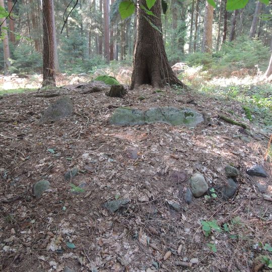 Großsteingrab Barnstedt