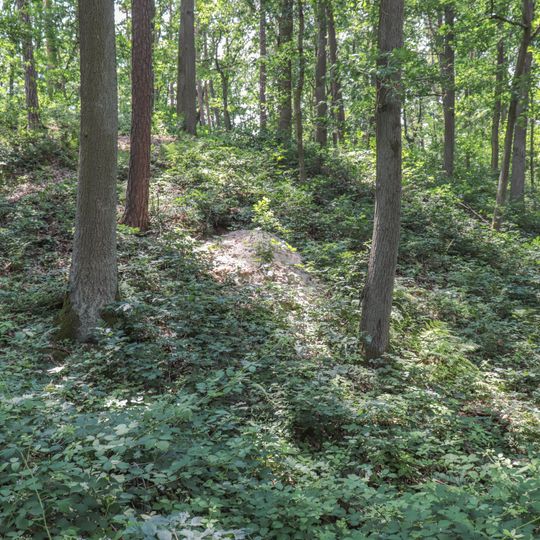 Cultural heritage D-5-6733-0012 in Allersberg