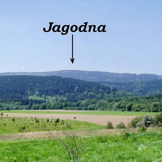 Jagodna