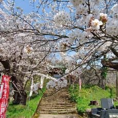 大龍寺
