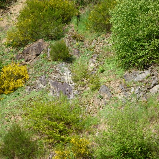 Steinbruch bei Pfelling