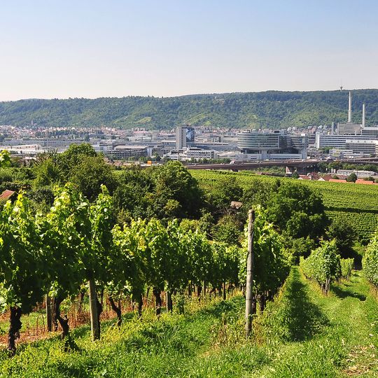 Weinberg- und Gartenlandschaft zwischen Bad Cannstatt und Untertürkheim