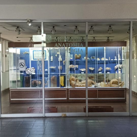 Museum of Pathological Anatomy