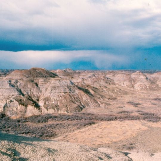Dinosaur Park Formation