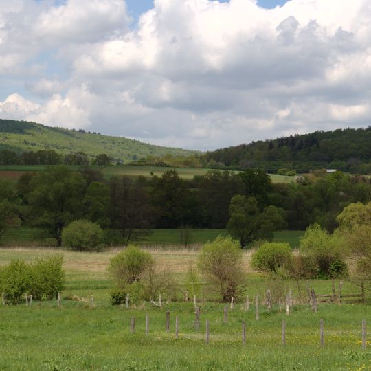 Strutwiesen bei Steinau