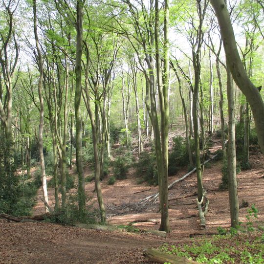 LSG-Auf der Hoehe, Passberg, Hoheholz