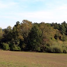 Feuchtgebiet bei Eckarrot