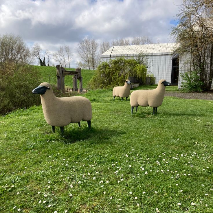 Les Moutons