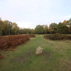 Bronze Age burial, ceremonial and settlement remains on Stanton Moor, and evidence for medieval, post-medieval and 19th to early