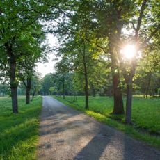Lainzer Tiergarten