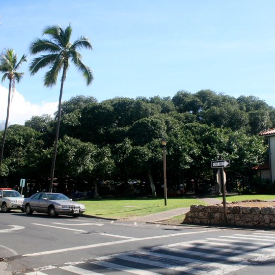 Lahaina Banyan Court Park