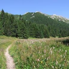 Zadnia Koperszadzka Pastwa