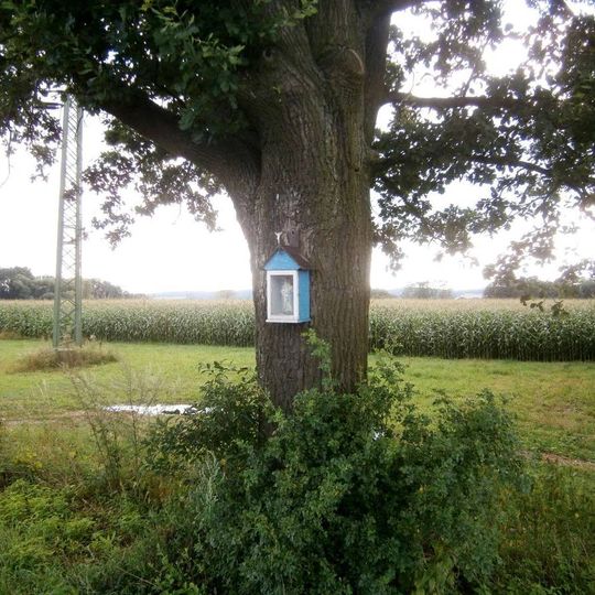 Obrázek jižně od Bludova u silnice
