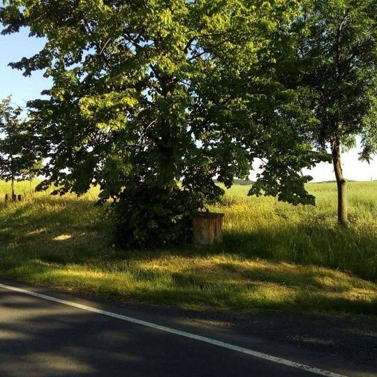 Kříž severozápadně od Kolešova