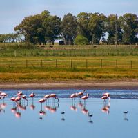 partido di General Viamonte