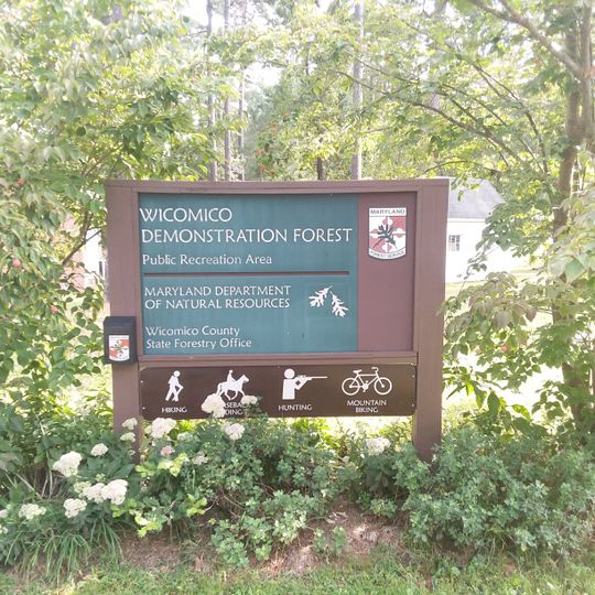 Wicomico Demonstration Forest