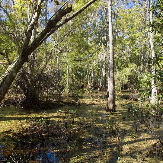 Barataria Unit of Jean Lafitte Historical Park Historic District