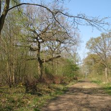 Gransden and Waresley Woods