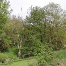 Altarm der Tauber Lachen