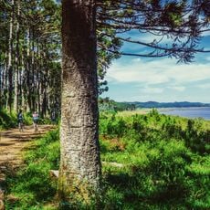 Boracéia Biological Station