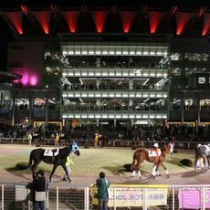 Ohi Racecourse