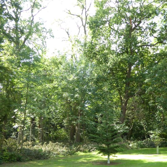 Briery Wood Heronry, Belvoir