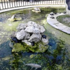 Parco della Preistoria