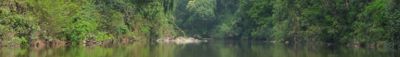 Panoramic View 0