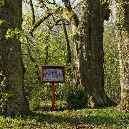 4 Linden beim Abendmahl