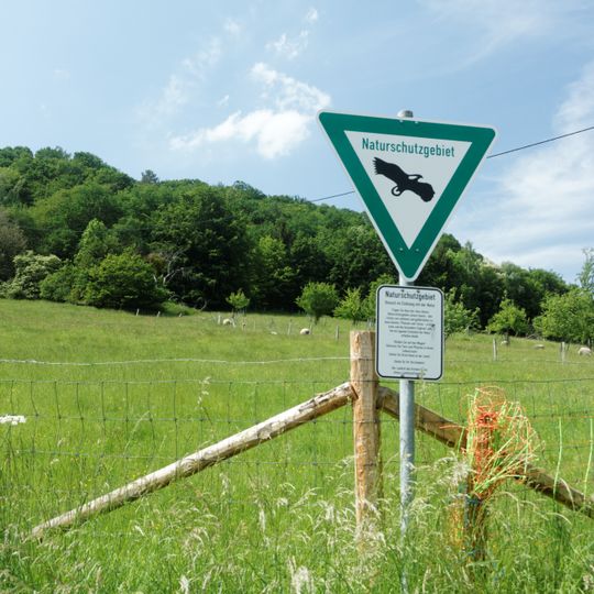 Meuchelberg und südexponierte Hänge am Staubecken Heimbach