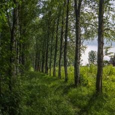 Bogoslovka estate